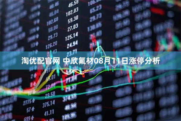 淘优配官网 中欣氟材08月11日涨停分析